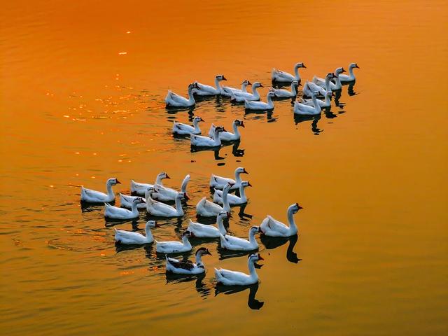 @明光人,来女山湖罗咀,当一天“闲云野鹤”