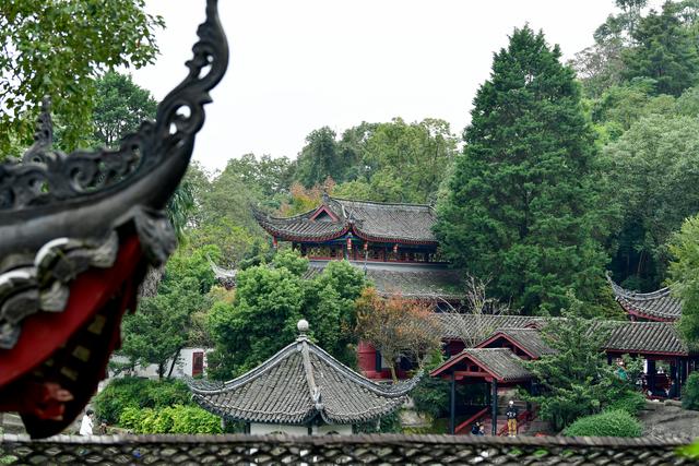 一“叶”知冬来！漫步仿古园林，解锁初冬浪漫