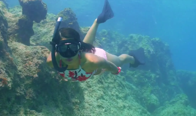 惊险！女子生理期潜水被鲨鱼咬伤，专家：血腥味有刺激