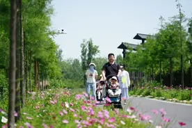 合肥这些地方，火热！预测今天更火！图片