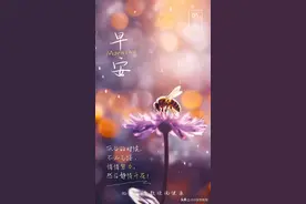 胃痛胃炎老胃病怎么解？延胡索、当归用得好，配合俩经方，显奇效图片