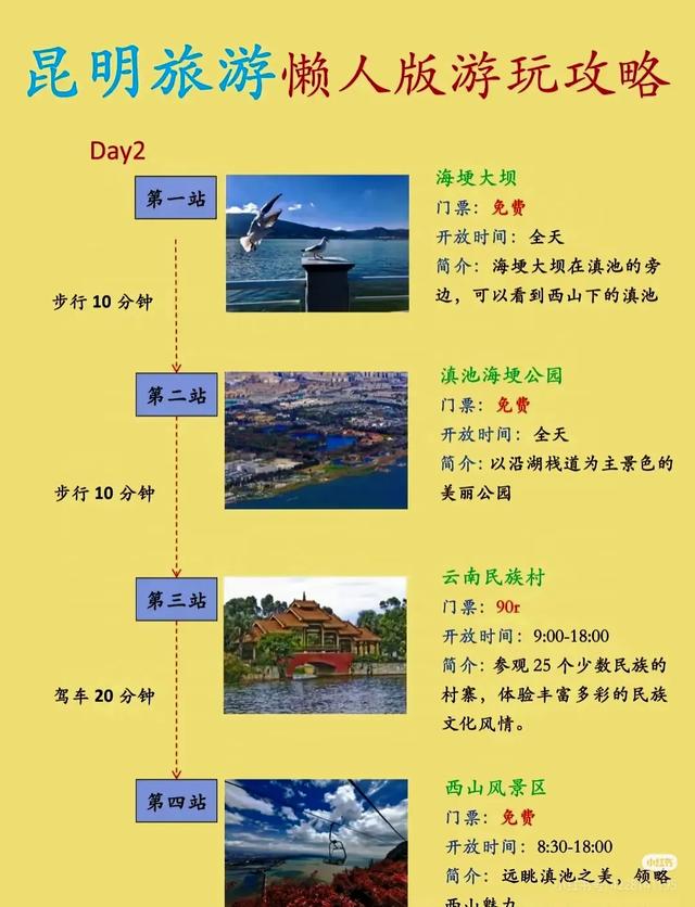 初秋昆明漫游暴击！3天喂鸥逛巷、10元扛花回家！