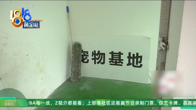 怎么又是这？她还拿出视频，里面“一动不动”，停了几只苍蝇....