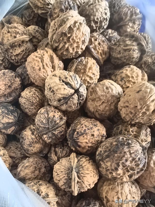 柯街黑温泉度假之旅，最后一个赶集日的烟火与日常