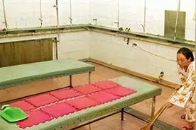 退役后339万卖掉金牌，冠军变搓澡阿姨，这3位奥运冠军真让人心疼图片