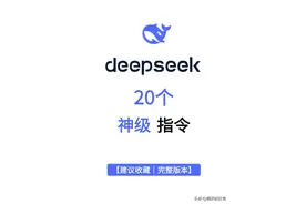 DeepSeek的20个神级指令图片