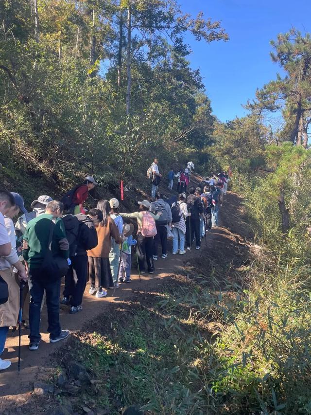 上海白领周末登山人挤人：低价团引迁徙热，逃离城市反成新内卷？