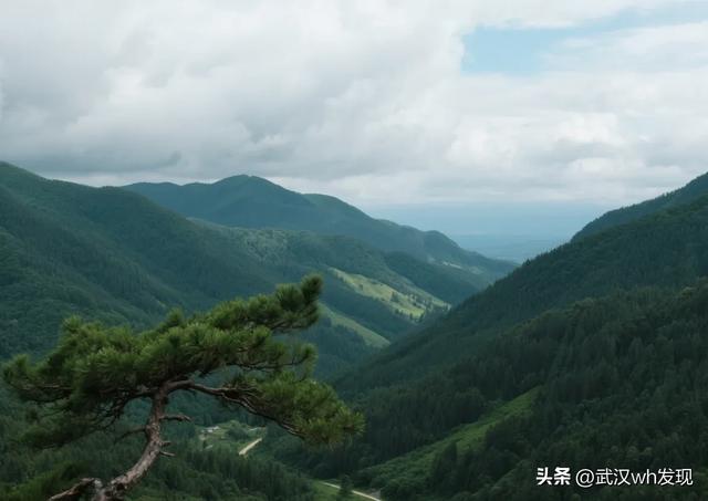 逃离“火炉”！城铁直达黄冈，开启山水避暑宝藏之旅