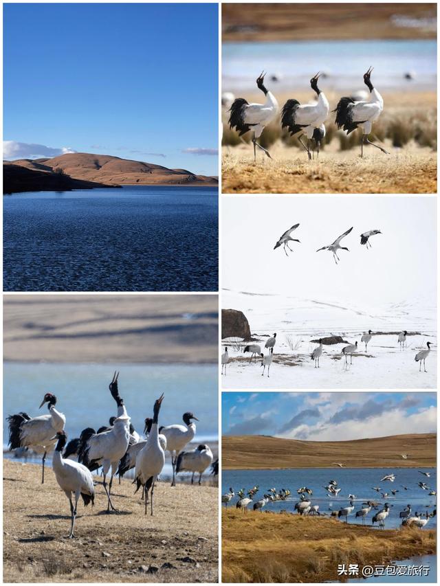 西南边陲的桃源秘境：昭通漫游全指南