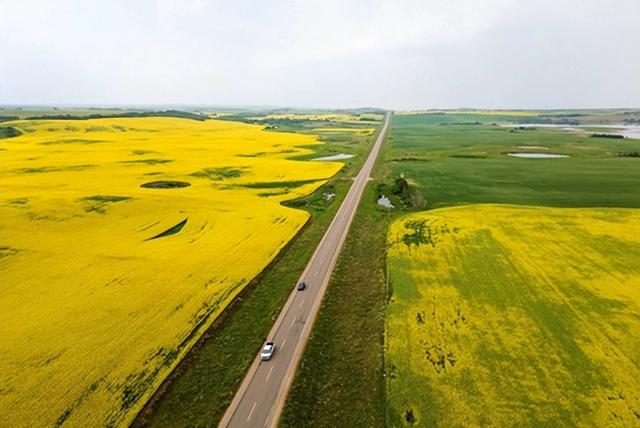 加拿大又“反水”了？特朗普100%关税威胁，卡尼“撇清	”与华关系