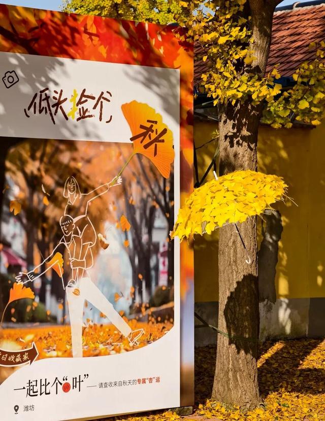 潍坊美景“告急”！这些地方错过等一年！