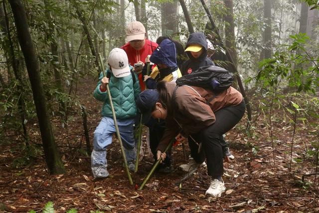 区未保中心开展​“亲子同行 共同前‘缙’”徒步活动