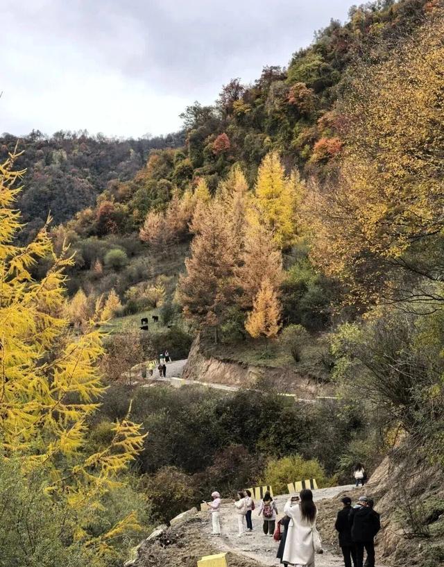 【美丽四川】平武天母湖，邂逅一场彩林与碧水的秋日盛宴‖柳红樱