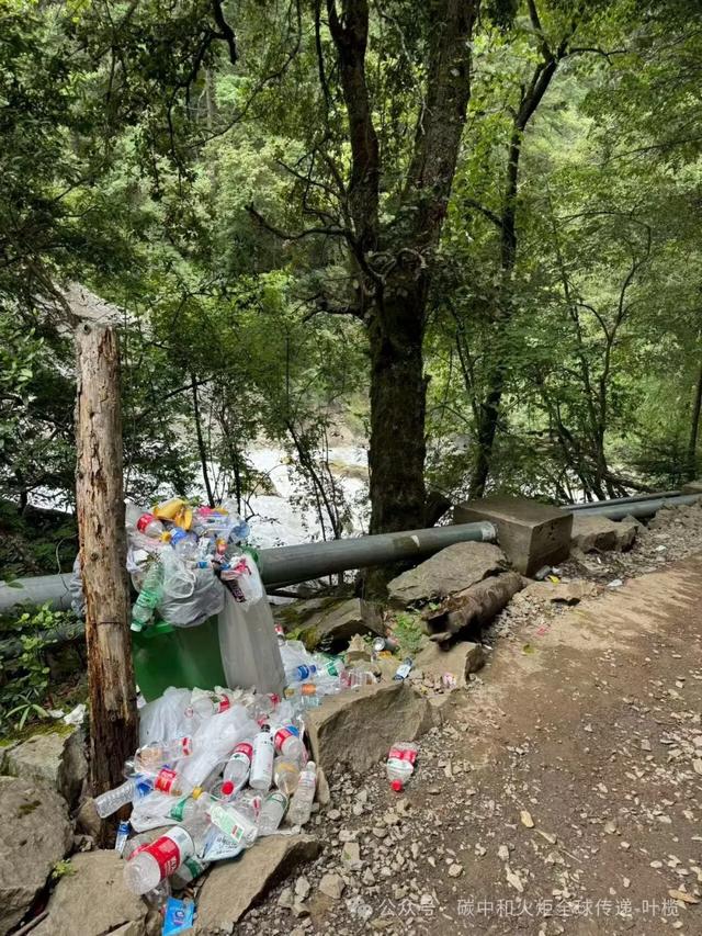 洲长有约:“垃圾洲会客厅”线上举行,关注雪山圣地清洁行动