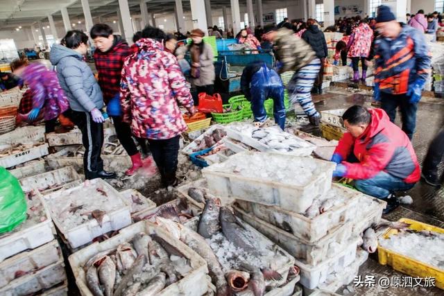 等一分钟，等你爱上嵊山岛！