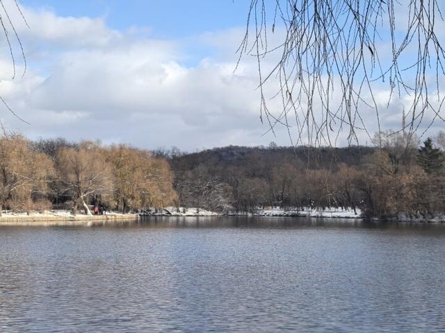 雪后二一九公园藏着治愈系美景