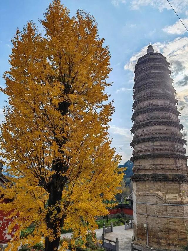 栗川砖塔，你与时光站成永恒