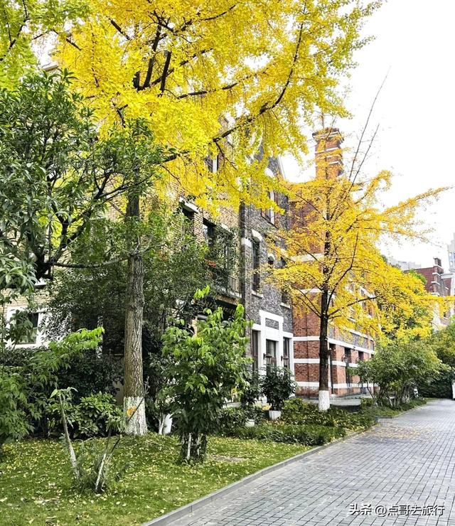 成都超级低调奢华的公园，色彩斑斓，被严重低估，公交车直达！