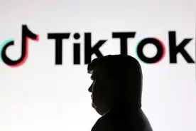 Meta和谷歌，等待瓜分TikTok图片