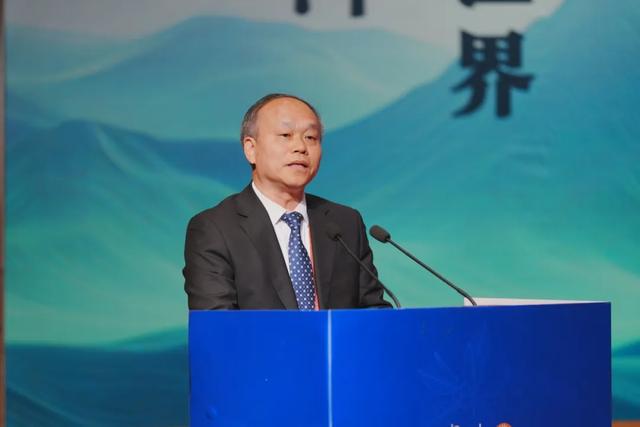 千年一叶 万里同心｜景迈山・武夷山2025“茶与茶的对话”成功举办