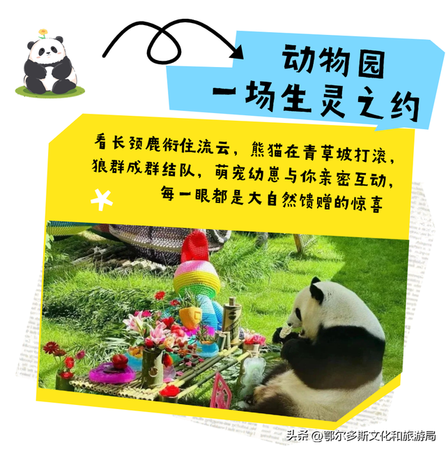 @所有人 文旅君带你云游东胜~~