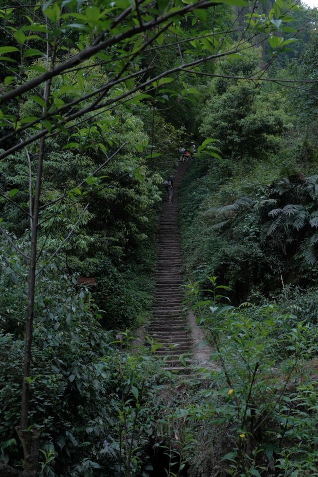 闯入青城山秘境！人少景美适合亲子徒步，还有成都最贵斋饭50元