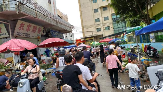 广州南沙金洲，一个充满市井生活气息的地方……