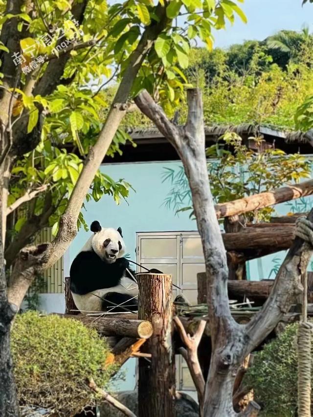 仅两天！南宁动物园门票低至10元，时间是...