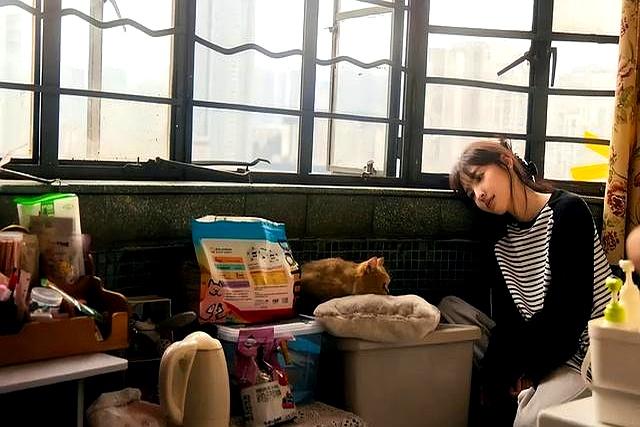 6个月就能改命？荣格发现心理能瞬间质变的方式，半年就够重生