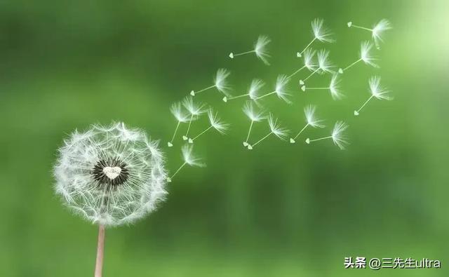 偷华为，被判六年；学华为，年入370亿！国产科技向左走向右走。
