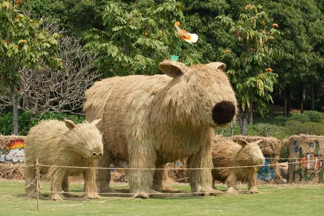 定了！木兰花谷1月17日起全城免费送票啦~