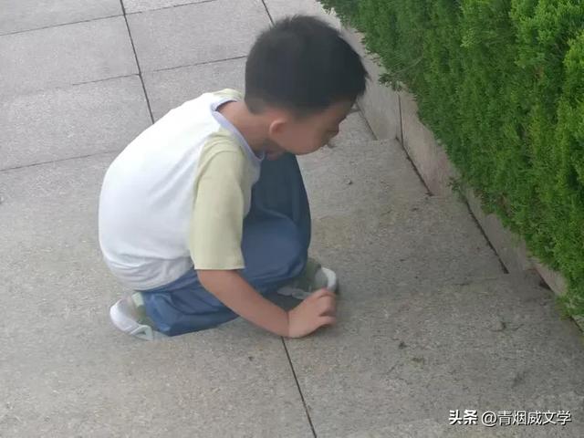 踏莎行 庆祝中华人民共和国成立76周年（外三首）