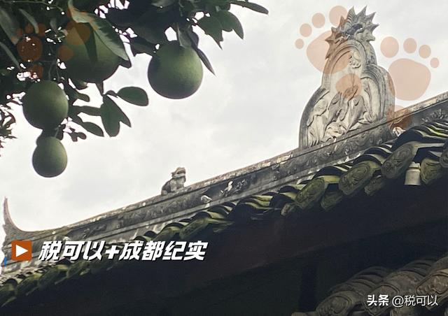 天回镇金华寺：藏在成都闹市的清幽之地，一座古戏台让人惊艳！