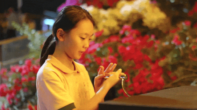 莲花山公园又上新了，现在就冲！