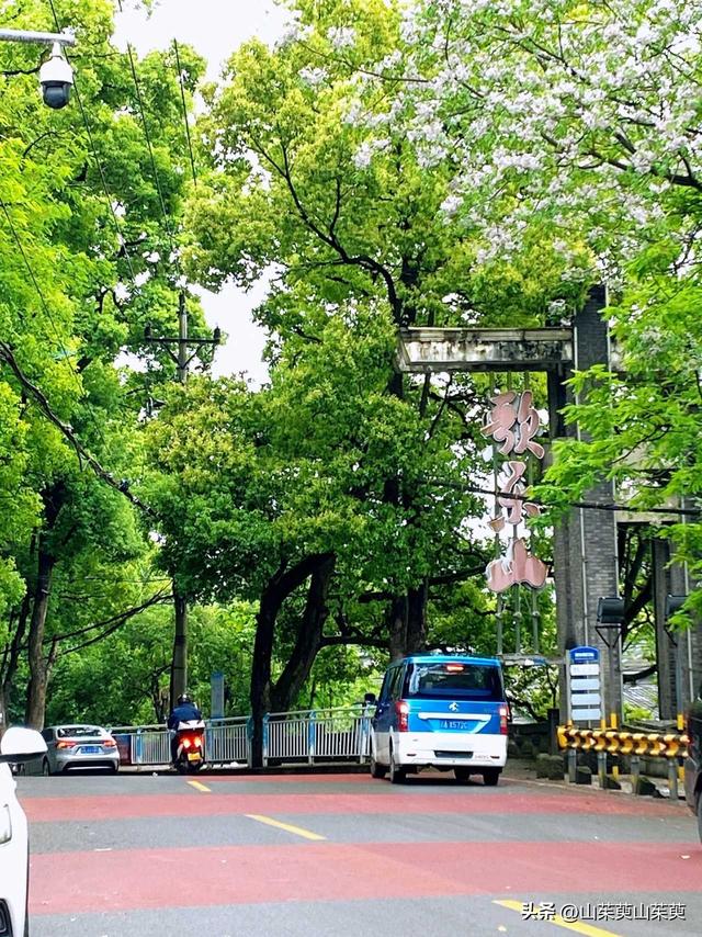 2023年春重庆探亲记（六）