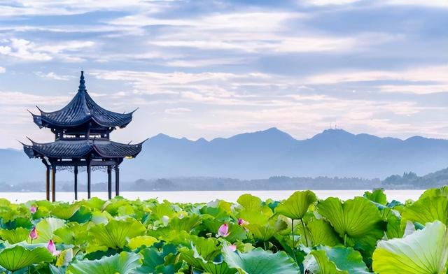 景区扔了8亿门票钱？这波“赔本买卖”藏着真套路