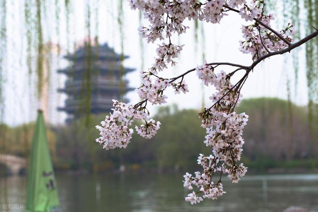 大量印尼游客涌入济南，打着旅游幌子不去旅游不吃美食，为啥来？
