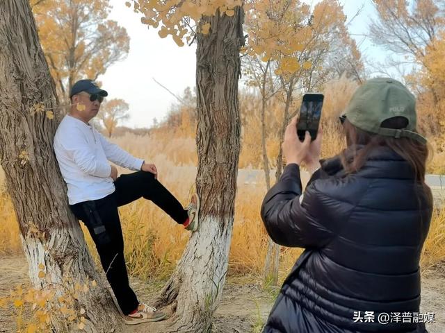 泽普胡杨迎来最佳观赏期 金黄画卷引客来 胡杨美景生共鸣