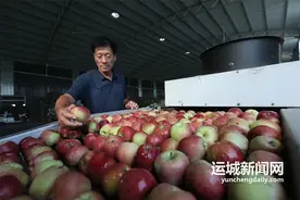 年出口“小苹果”3万吨左右 张安康的财富观：“一起富，才是富”图片