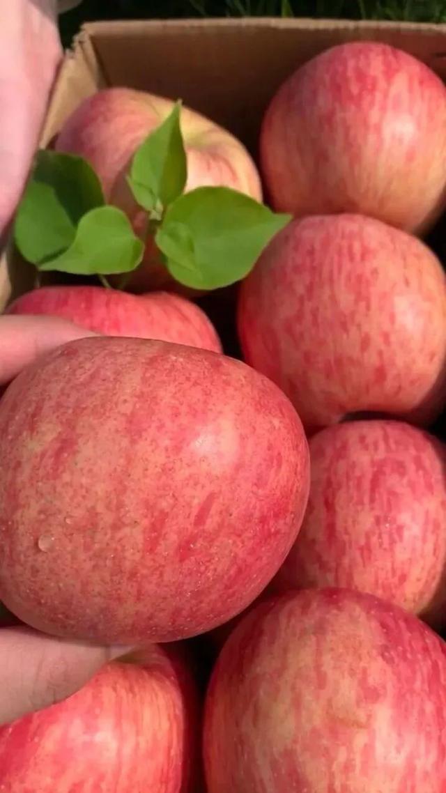 6城上榜！2025康养百强榜出炉，山东凭什么这么能打？