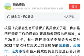 事情闹大了！安徽部分县市因秸秆禁烧不力被约谈！大家支持禁燃吗图片
