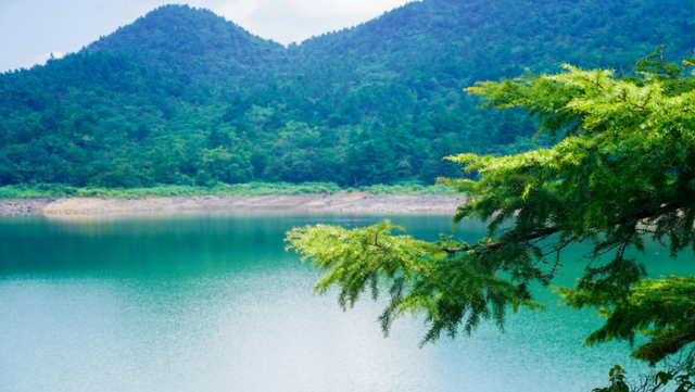 逃离热浪！去大源塘“森”呼吸