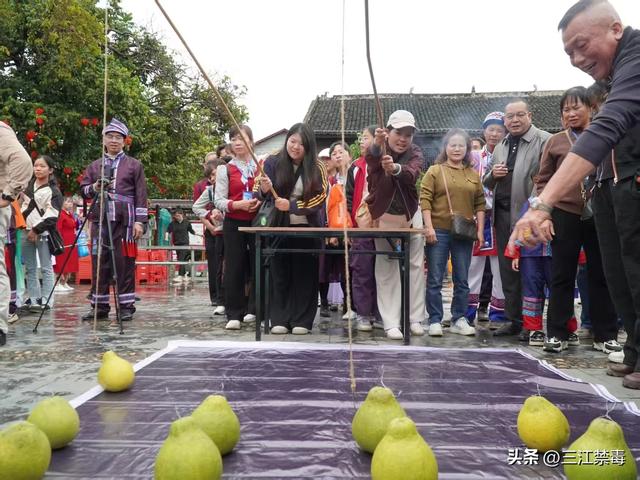 三江丹洲镇：丹洲柚熟庆佳节，全民防毒筑屏障，共护古镇好风光