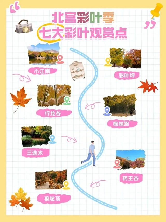 秋色浓，叶渐红！彩叶观赏尽在丰台这里——