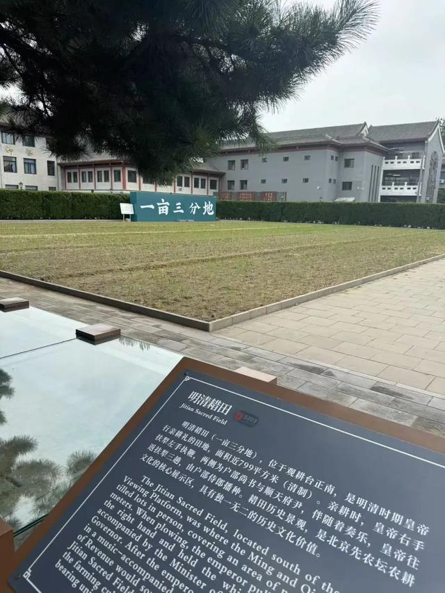 【博物FUN】仰望千年前璀璨星空，躬耕皇帝“一亩三分地”