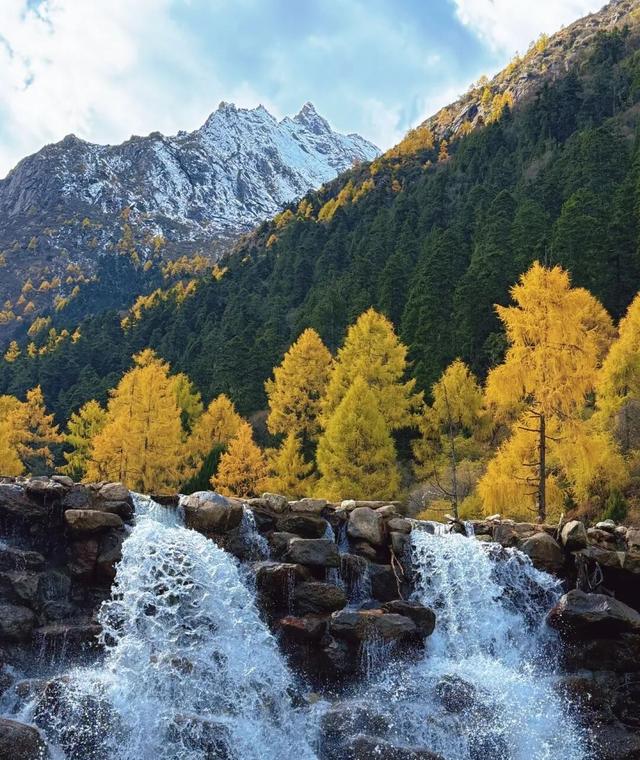 今年理县红叶开挂了！红得惊动天地，美到不可方物