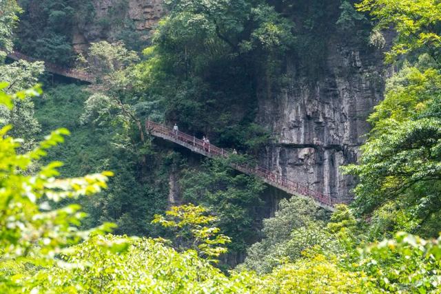 金佛山邀重庆工业职业技术大学（南川校区）全校师生解锁山水美景~