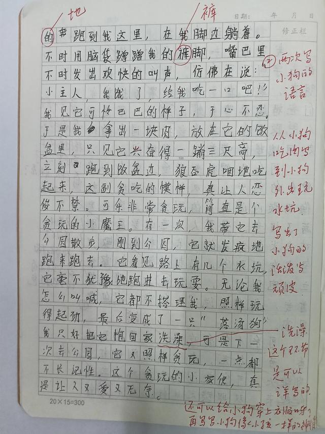 作文点评之小狗写法