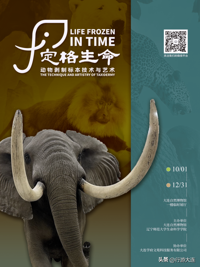 周末不无聊~带娃去这些地方“放电”，还能涨知识！