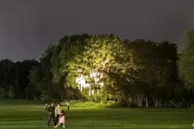 石津灌渠文化公园着力提升公园亮化 打造舒心游园环境图片